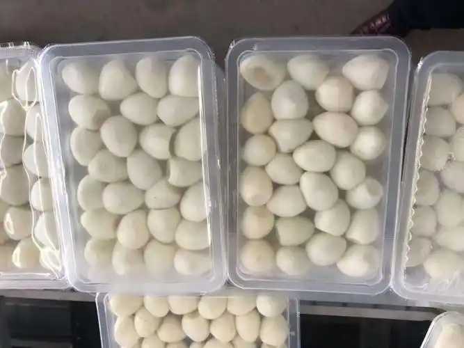整線解決方案，優(yōu)化生產(chǎn)流程：鵪鶉蛋包裝神器來襲
